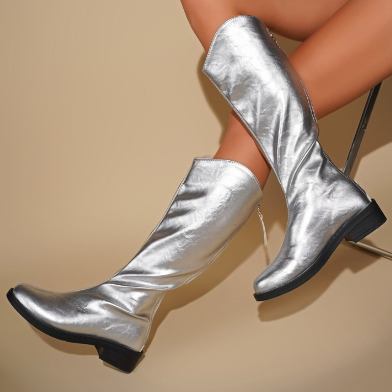 Women'S Fashion Knee High Boots - Women Silver Knee High Boots V